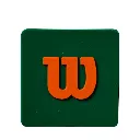 antivibrateur-wilson-dampener-2-pack-roland-garros-green-orange-1473598-818x818-g0.webp